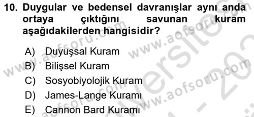 Birey ve Davranış Dersi 2024 - 2025 Yılı (Vize) Ara Sınav Soruları 10. Soru