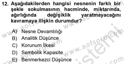 Birey ve Davranış Dersi 2024 - 2025 Yılı (Vize) Ara Sınav Soruları 12. Soru