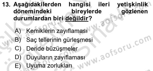 Birey ve Davranış Dersi 2024 - 2025 Yılı (Vize) Ara Sınav Soruları 13. Soru