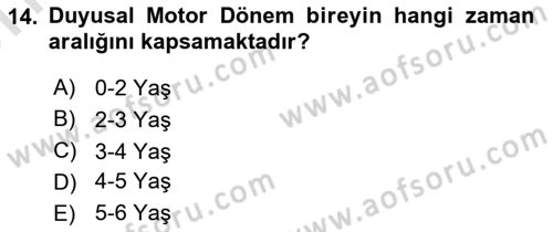 Birey ve Davranış Dersi 2024 - 2025 Yılı (Vize) Ara Sınav Soruları 14. Soru
