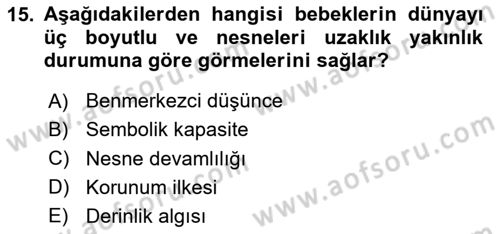 Birey ve Davranış Dersi 2024 - 2025 Yılı (Vize) Ara Sınav Soruları 15. Soru