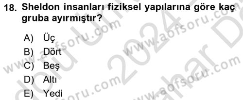 Birey ve Davranış Dersi 2024 - 2025 Yılı (Vize) Ara Sınav Soruları 18. Soru
