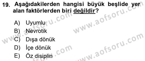 Birey ve Davranış Dersi 2024 - 2025 Yılı (Vize) Ara Sınav Soruları 19. Soru