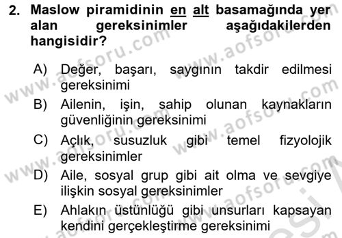 Birey ve Davranış Dersi 2024 - 2025 Yılı (Vize) Ara Sınav Soruları 2. Soru