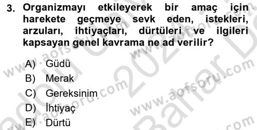 Birey ve Davranış Dersi 2024 - 2025 Yılı (Vize) Ara Sınav Soruları 3. Soru