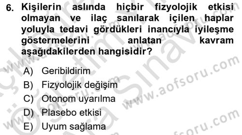 Birey ve Davranış Dersi 2024 - 2025 Yılı (Vize) Ara Sınav Soruları 6. Soru