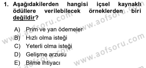 Birey ve Davranış Dersi 2024 - 2025 Yılı (Final) Dönem Sonu Sınav Soruları 1. Soru