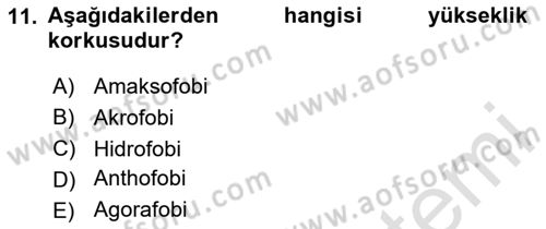 Birey ve Davranış Dersi 2024 - 2025 Yılı (Final) Dönem Sonu Sınav Soruları 11. Soru
