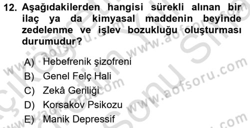 Birey ve Davranış Dersi 2024 - 2025 Yılı (Final) Dönem Sonu Sınav Soruları 12. Soru