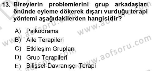 Birey ve Davranış Dersi 2024 - 2025 Yılı (Final) Dönem Sonu Sınav Soruları 13. Soru