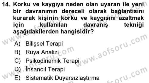 Birey ve Davranış Dersi 2024 - 2025 Yılı (Final) Dönem Sonu Sınav Soruları 14. Soru