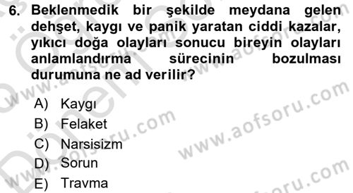 Birey ve Davranış Dersi 2024 - 2025 Yılı (Final) Dönem Sonu Sınav Soruları 6. Soru