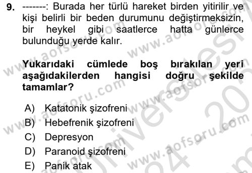 Birey ve Davranış Dersi 2024 - 2025 Yılı (Final) Dönem Sonu Sınav Soruları 9. Soru