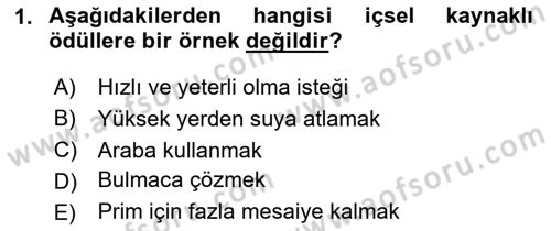 Birey ve Davranış Dersi 2024 - 2025 Yılı Yaz Okulu Sınav Soruları 1. Soru