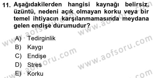 Birey ve Davranış Dersi 2024 - 2025 Yılı Yaz Okulu Sınav Soruları 11. Soru