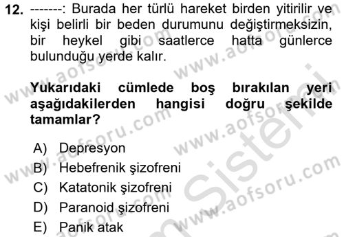 Birey ve Davranış Dersi 2024 - 2025 Yılı Yaz Okulu Sınav Soruları 12. Soru