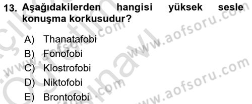 Birey ve Davranış Dersi 2024 - 2025 Yılı Yaz Okulu Sınav Soruları 13. Soru