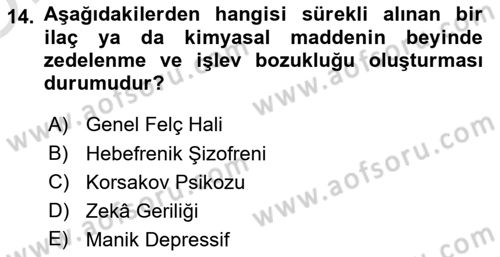 Birey ve Davranış Dersi 2024 - 2025 Yılı Yaz Okulu Sınav Soruları 14. Soru