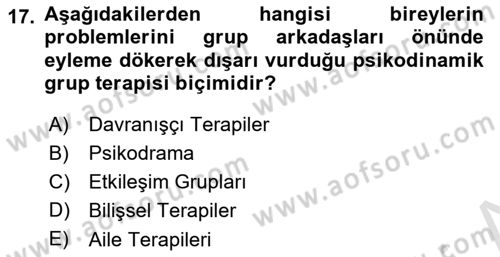 Birey ve Davranış Dersi 2024 - 2025 Yılı Yaz Okulu Sınav Soruları 17. Soru