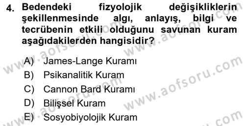 Birey ve Davranış Dersi 2024 - 2025 Yılı Yaz Okulu Sınav Soruları 4. Soru