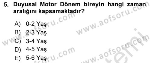 Birey ve Davranış Dersi 2024 - 2025 Yılı Yaz Okulu Sınav Soruları 5. Soru
