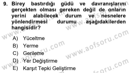 Birey ve Davranış Dersi 2024 - 2025 Yılı Yaz Okulu Sınav Soruları 9. Soru