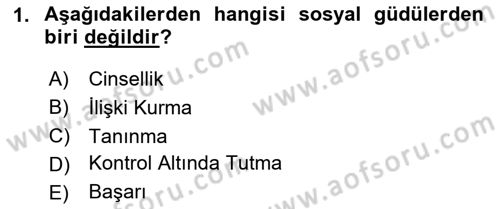 Birey ve Davranış Dersi 2025 - 2026 Yılı (Vize) Ara Sınav Soruları 1. Soru
