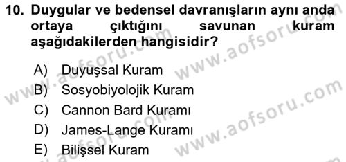 Birey ve Davranış Dersi 2025 - 2026 Yılı (Vize) Ara Sınav Soruları 10. Soru