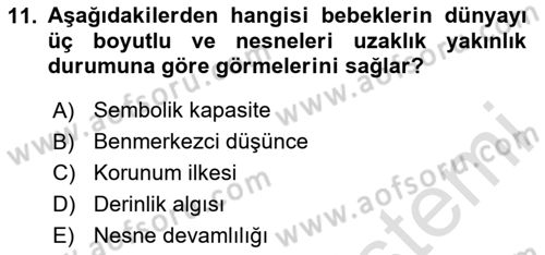 Birey ve Davranış Dersi 2025 - 2026 Yılı (Vize) Ara Sınav Soruları 11. Soru