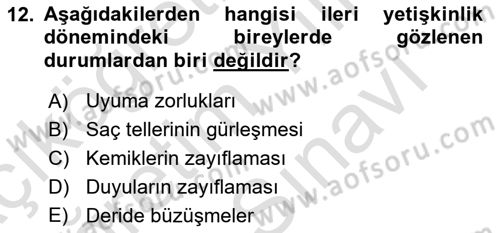 Birey ve Davranış Dersi 2025 - 2026 Yılı (Vize) Ara Sınav Soruları 12. Soru