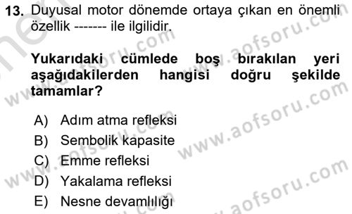Birey ve Davranış Dersi 2025 - 2026 Yılı (Vize) Ara Sınav Soruları 13. Soru