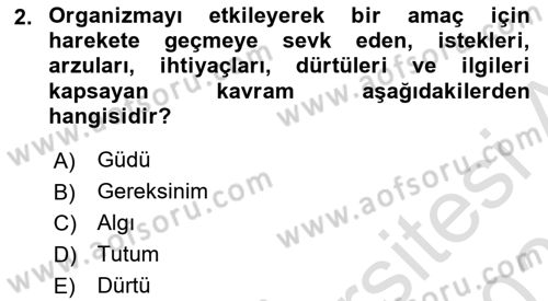 Birey ve Davranış Dersi 2025 - 2026 Yılı (Vize) Ara Sınav Soruları 2. Soru