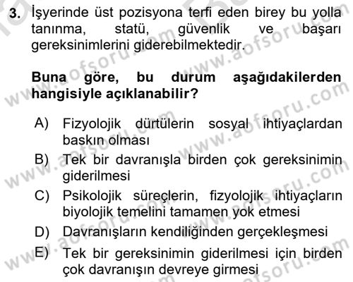 Birey ve Davranış Dersi 2025 - 2026 Yılı (Vize) Ara Sınav Soruları 3. Soru
