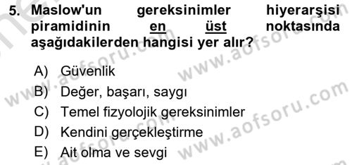 Birey ve Davranış Dersi 2025 - 2026 Yılı (Vize) Ara Sınav Soruları 5. Soru