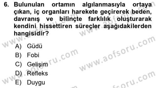 Birey ve Davranış Dersi 2025 - 2026 Yılı (Vize) Ara Sınav Soruları 6. Soru