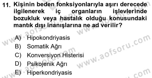 Birey ve Davranış Dersi 2025 - 2026 Yılı (Final) Dönem Sonu Sınav Soruları 11. Soru