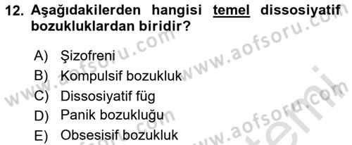 Birey ve Davranış Dersi 2025 - 2026 Yılı (Final) Dönem Sonu Sınav Soruları 12. Soru