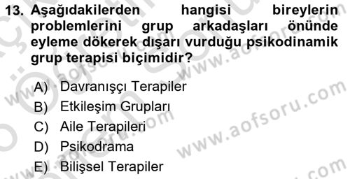 Birey ve Davranış Dersi 2025 - 2026 Yılı (Final) Dönem Sonu Sınav Soruları 13. Soru