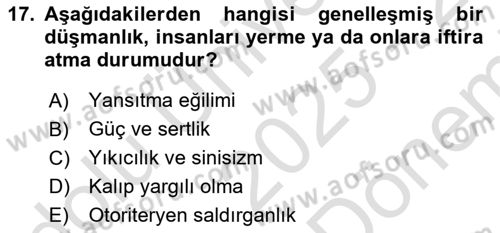Birey ve Davranış Dersi 2025 - 2026 Yılı (Final) Dönem Sonu Sınav Soruları 17. Soru