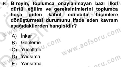 Birey ve Davranış Dersi 2025 - 2026 Yılı (Final) Dönem Sonu Sınav Soruları 6. Soru