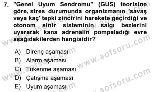 Birey ve Davranış Dersi 2025 - 2026 Yılı (Final) Dönem Sonu Sınav Soruları 7. Soru