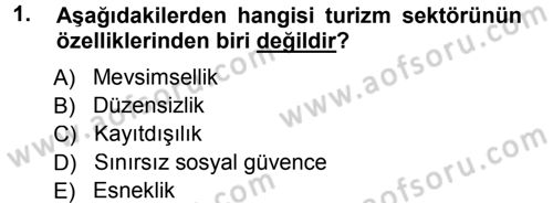 Turizm Sosyolojisi Dersi 2012 - 2013 Yılı (Final) Dönem Sonu Sınav Soruları 1. Soru