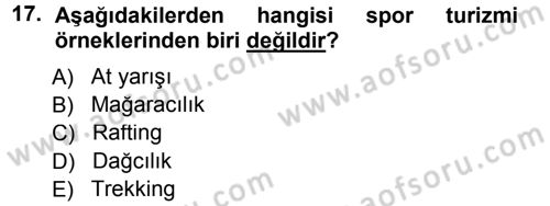 Turizm Sosyolojisi Dersi 2012 - 2013 Yılı (Final) Dönem Sonu Sınav Soruları 17. Soru