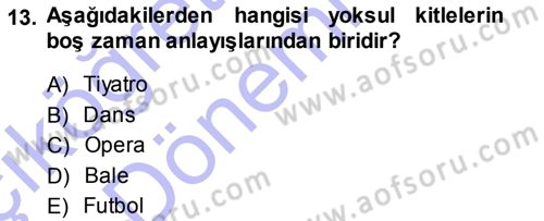 Turizm Sosyolojisi Dersi 2013 - 2014 Yılı (Vize) Ara Sınav Soruları 13. Soru