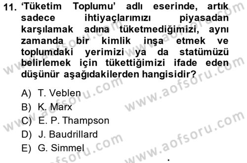 Turizm Sosyolojisi Dersi Ara Sınavı Deneme Sınav Soruları 11. Soru