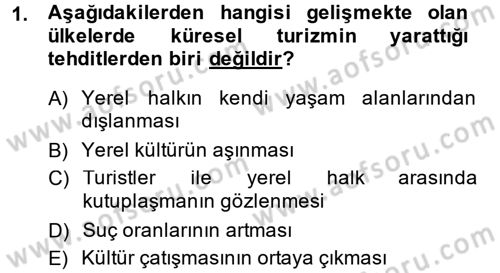Turizm Sosyolojisi Dersi 2014 - 2015 Yılı (Final) Dönem Sonu Sınav Soruları 1. Soru