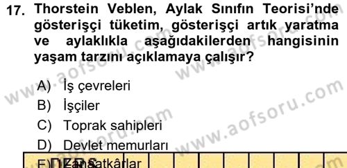 Turizm Sosyolojisi Dersi 2015 - 2016 Yılı (Vize) Ara Sınav Soruları 17. Soru