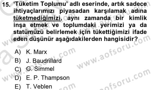 Turizm Sosyolojisi Dersi 2016 - 2017 Yılı (Vize) Ara Sınav Soruları 15. Soru