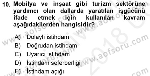 Turizm Sosyolojisi Dersi 2017 - 2018 Yılı 3 Ders Sınav Soruları 10. Soru