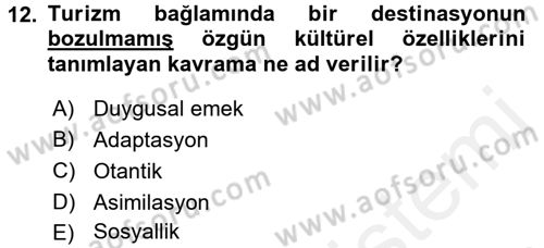 Turizm Sosyolojisi Dersi 2017 - 2018 Yılı 3 Ders Sınav Soruları 12. Soru
